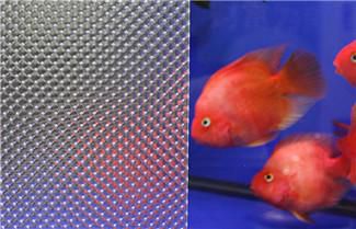 Advantages of Acrylic Board Product