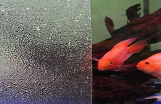 What Is The Scope Of Application Of Acrylic Board?